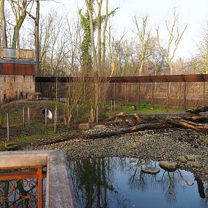 Barbary macaque exhibit, 2019-12-28