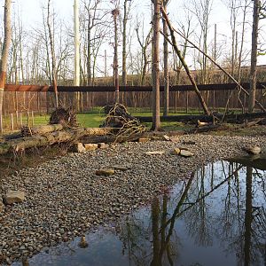 Barbary macaque exhibit, 2019-12-28