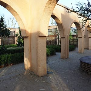 Moroccan gardens with Barbary macaque viewing areas, 2019-12-28