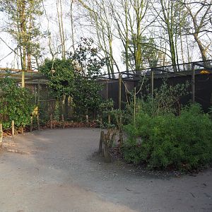 Scarlet macaw and Sun conure/Crestless curassow aviaries, 2019-12-28