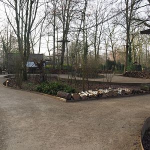 Callitrichid walk-through area, 2019-12-28