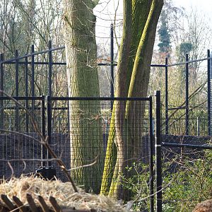 Construction of another behind the scenes aviary, 2019-12-28