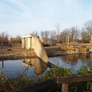 Asian elephant paddocks, 2019-12-28