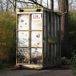 Large ungulate transport crate from Zoo Antwerpen, 2019-12-28