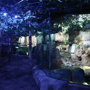 Platypus Exhibit
