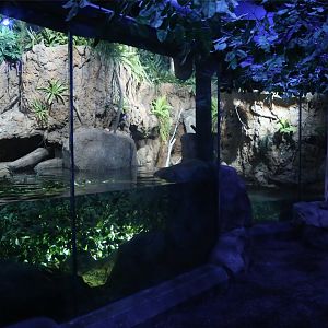 Platypus Exhibit