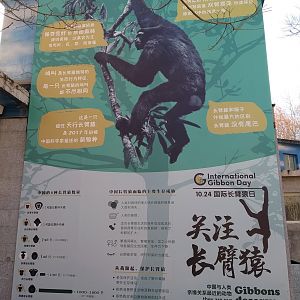 International Gibbon Day Signage