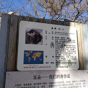 Hairy-fronted Muntjac Signage