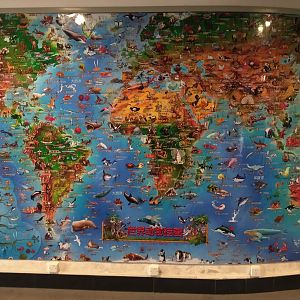 World Map, Education Centre