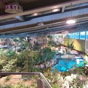 BioDome general view -BioDomo (2019)