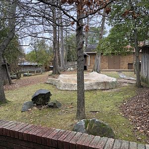 Capybara and Box Turtle Exhibit