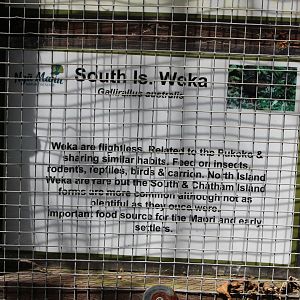South Island Weka sign