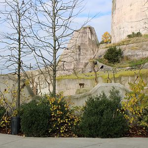 Guinea baboon enclosure