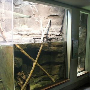 Freshwater crayfish enclosure