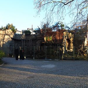 Mandrill exhibit, 2019-12-30