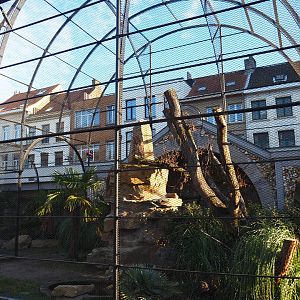 Reconstruction of 1856 bird-of-prey aviaries as parrot aviaries - Seemingly finally finished, 2019-12-30