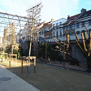 Reconstruction of 1856 bird-of-prey aviaries as parrot aviaries - Seemingly finally finished, 2019-12-30