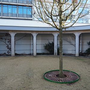 Reconstruction of 1856 bird-of-prey aviaries as parrot aviaries - Seemingly finally finished, 2019-12-30