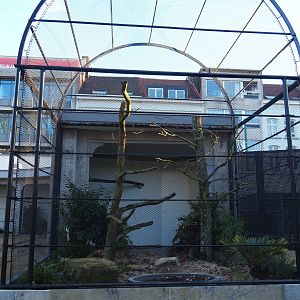 Reconstruction of 1856 bird-of-prey aviaries as parrot aviaries - Seemingly finally finished, 2019-12-30