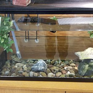 ZooAmerica - Musk Turtle, education building