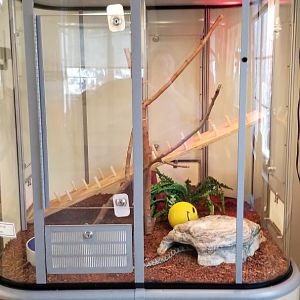 ZooAmerica - Desert Kingsnake, education building
