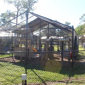 Jaguar Enclosure (1 of 3)