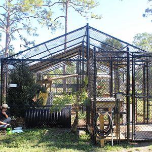 Jaguar Enclosure (1 of 3)