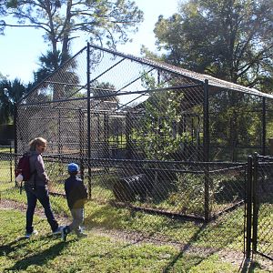 Future Fishing Cat Enclosure