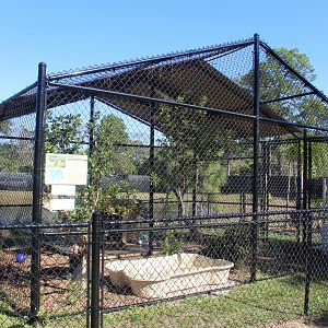 Fishing Cat Enclosure