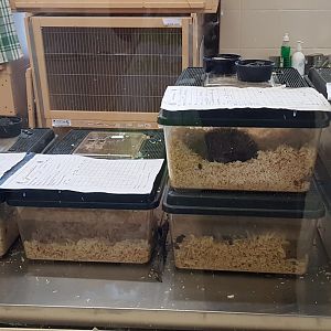 Wildlife hospital 20/01/20