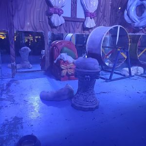 Arctic fox (Vulpes lagopus)