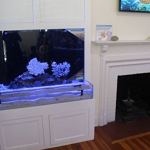 Fish Tank & Fire Place