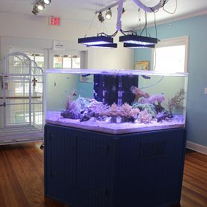 Fish Room