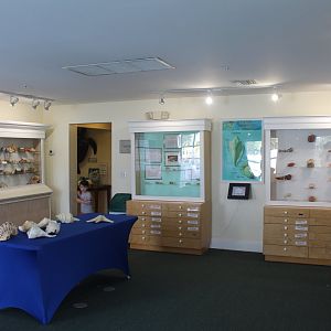 Shell Museum