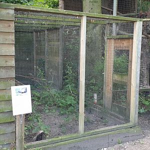 Enclosure Little grison