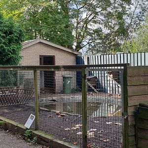 Capybara enclosure