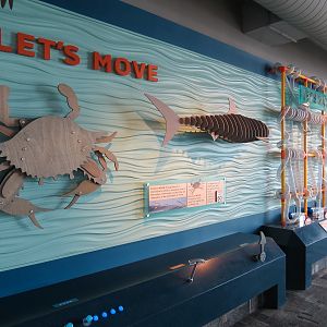 Kids Coast - Play Area