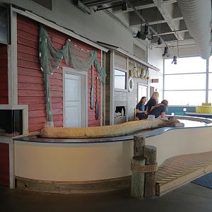 Touch Tank - Overview