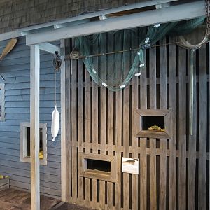 Touch Tank - 3 Small Aquariums and 1 Terrarium