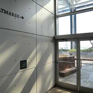 Salt Marsh - Entry