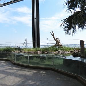 Salt Marsh - Interior