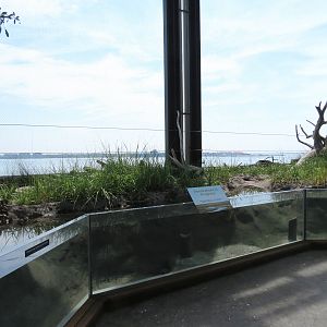 Salt Marsh - Interior