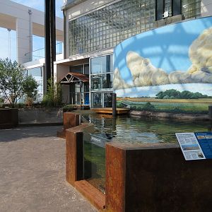 Salt Marsh - Interior