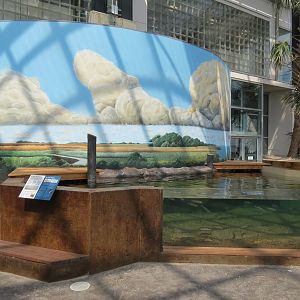 Salt Marsh - Interior