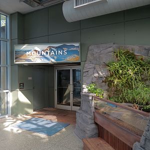 Mountain Forest - Entry