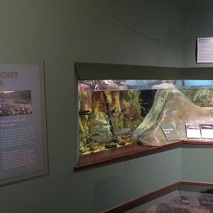 Piedmont - Piedmont River Exhibit