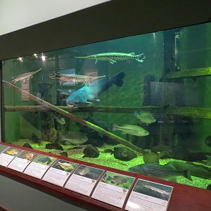 Piedmont - Reservoir Exhibit