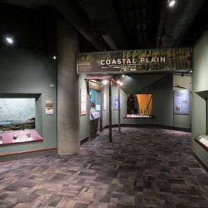 Coastal Plain - Hallway