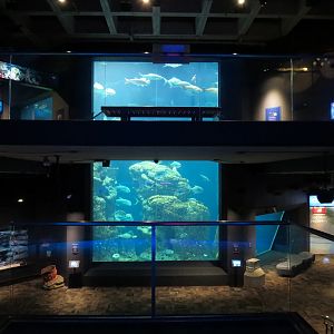 Ocean - View from Stairway from Upper Floor to Lower Floor