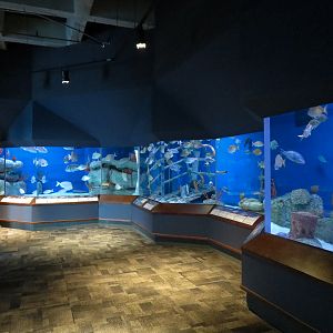 Ocean - Offshore Exhibits